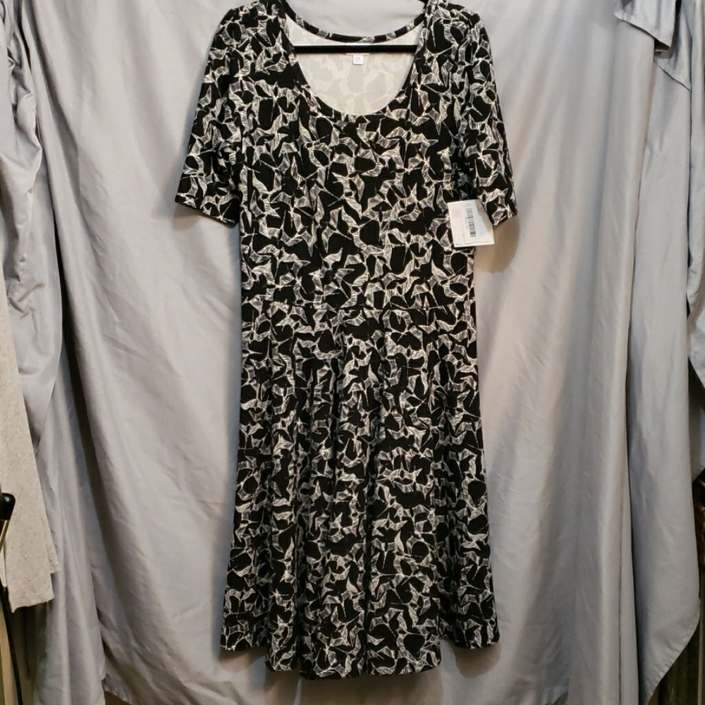 Lularoe Nicole 2xl